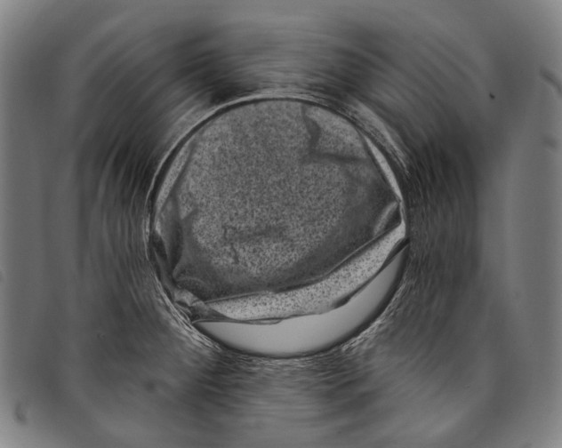 X0000097791284200804041227