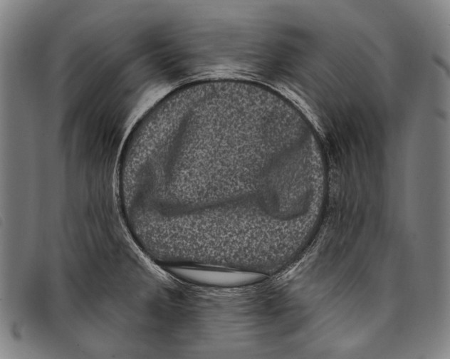 X0000097791285200804041227