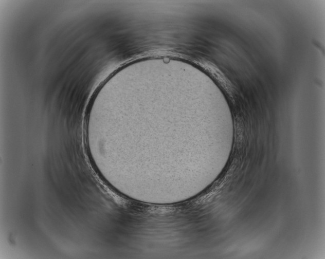 X0000097791286200804041227