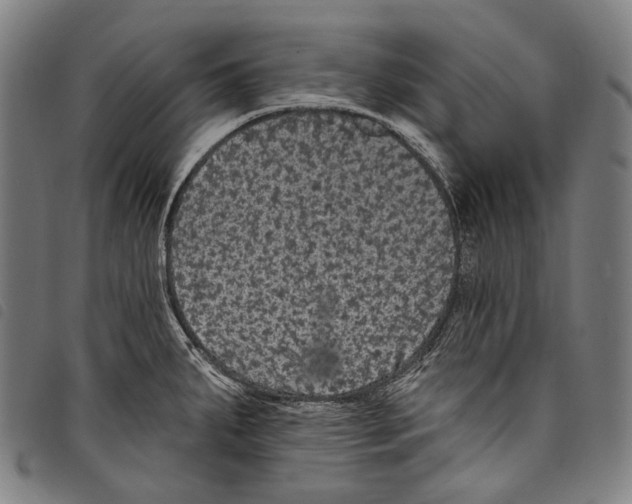X0000097791287200804041227