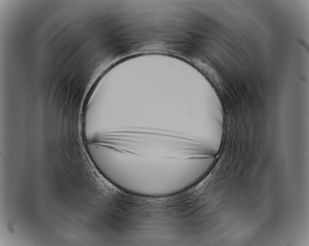 X0000097791288200804041227