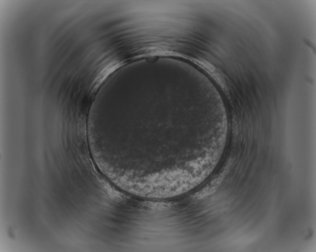 X0000097791289200804041227