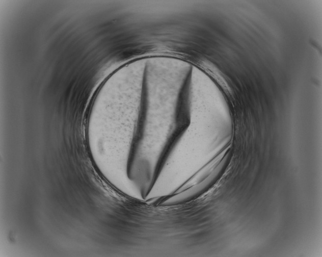 X0000097791292200804041227