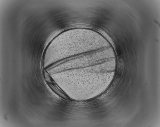 X0000097791293200804041227