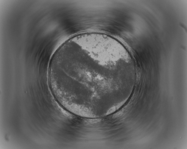 X0000097791294200804041227