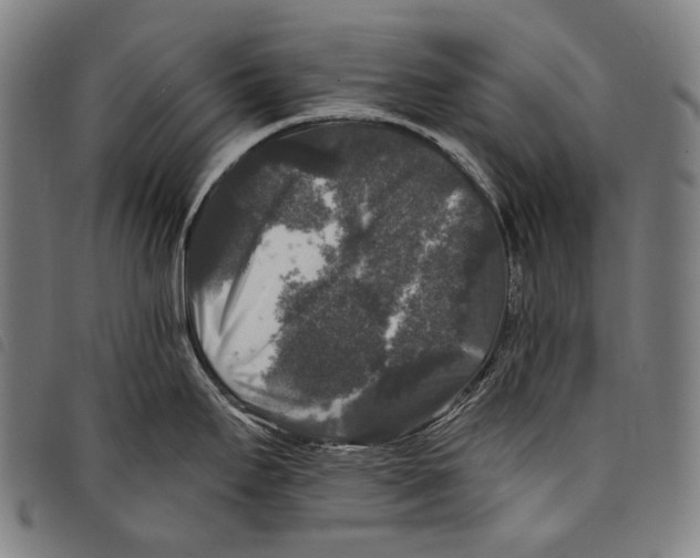 X0000097791295200804041227