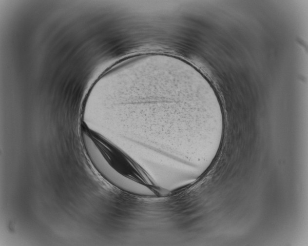 X0000097791296200804041227