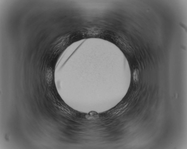 X0000097791299200804041227
