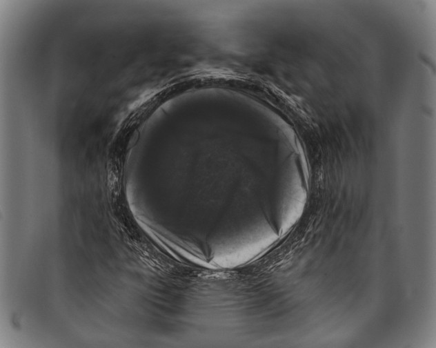X0000097791303200804041227