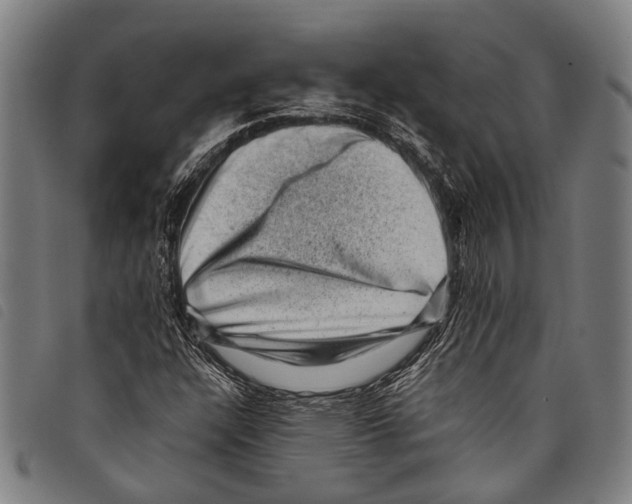 X0000097791304200804041227