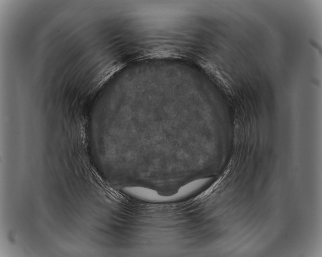 X0000097791305200804041227