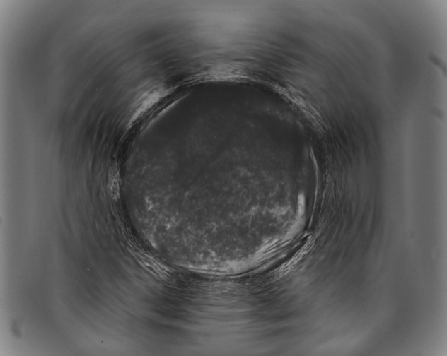 X0000097791306200804041227