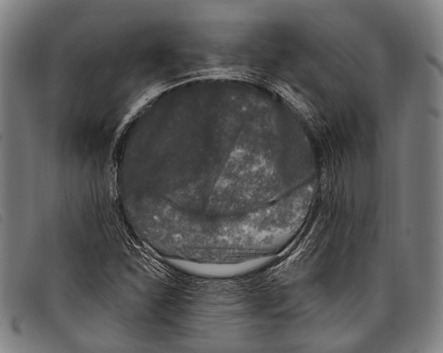 X0000097791310200804041227