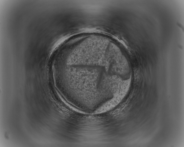 X0000097791311200804041227