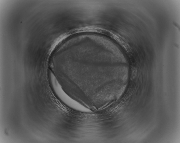 X0000097791312200804041227