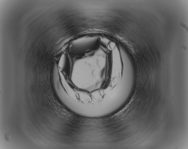 X0000097791313200804041227