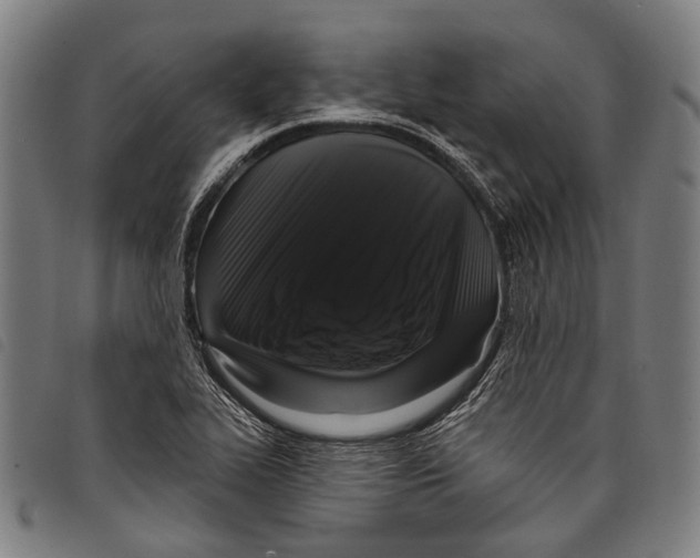 X0000097791319200804041227