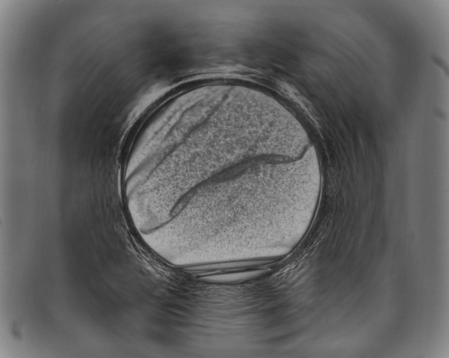 X0000097791320200804041227