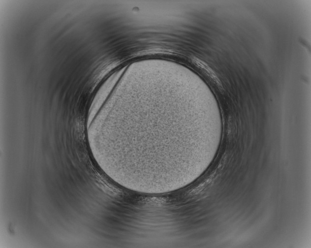 X0000097791321200804041227