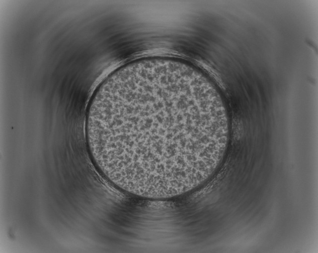 X0000097791322200804041227