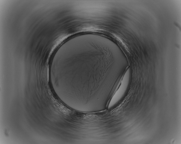 X0000097791323200804041227