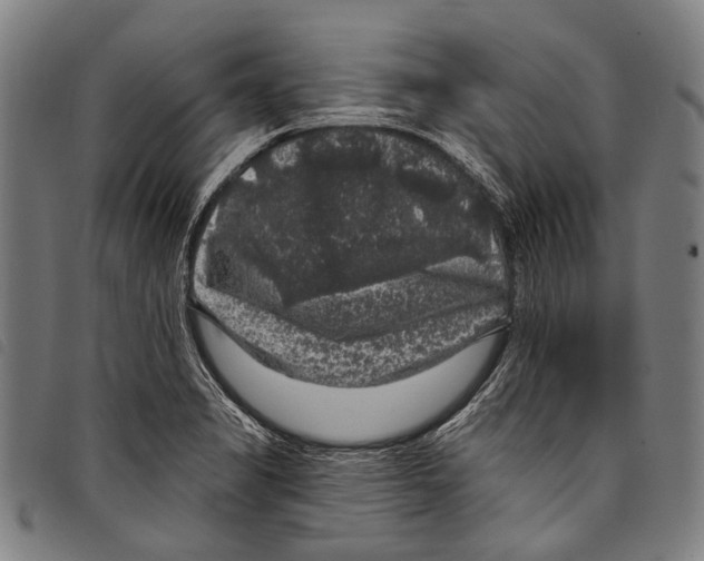 X0000097791325200804041227