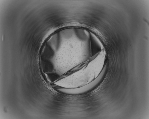 X0000097791326200804041227