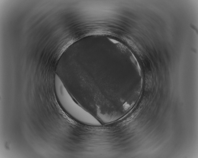 X0000097791329200804041227