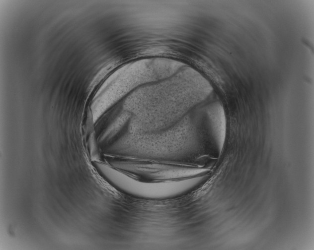 X0000097791330200804041227
