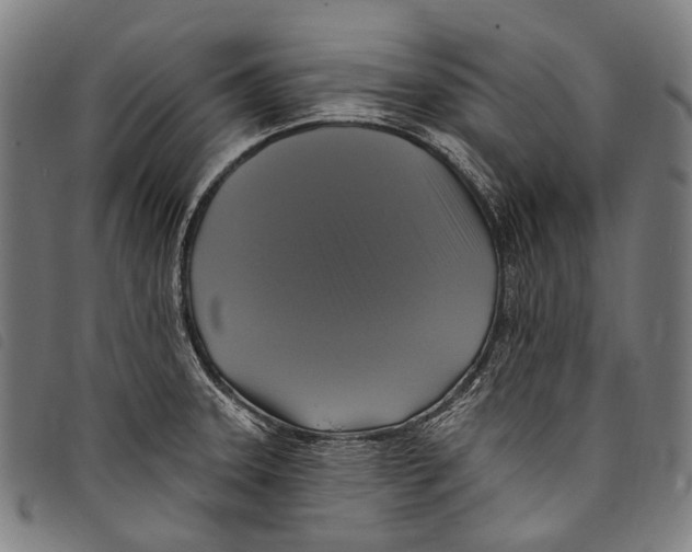 X0000097791331200804041227