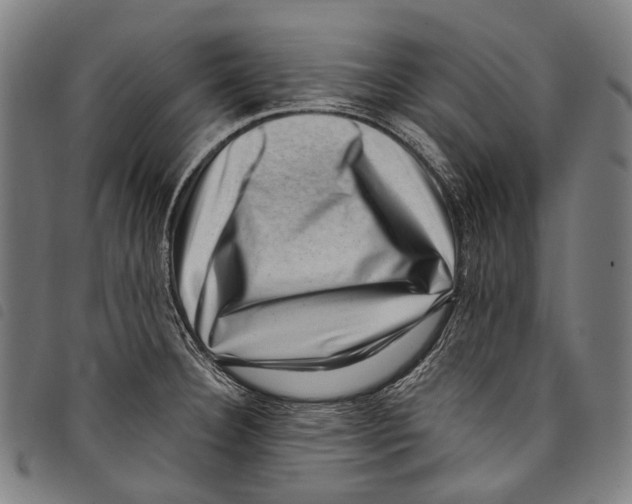 X0000097791332200804041227