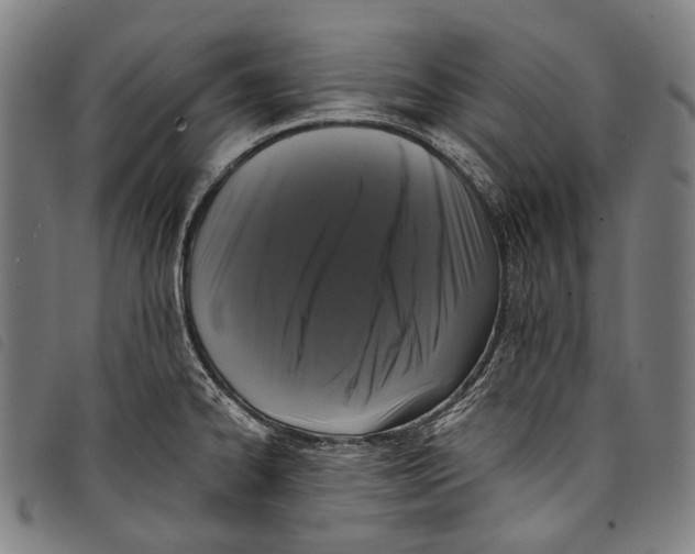 X0000097791334200804041227
