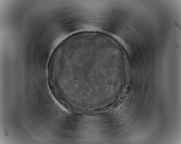 X0000097791335200804041227