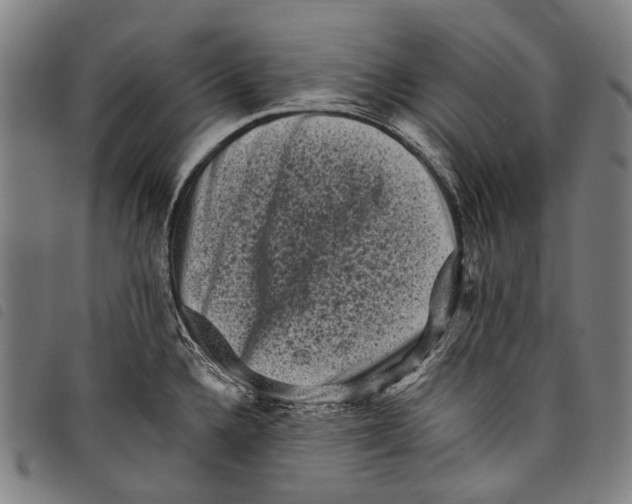 X0000097791336200804041227