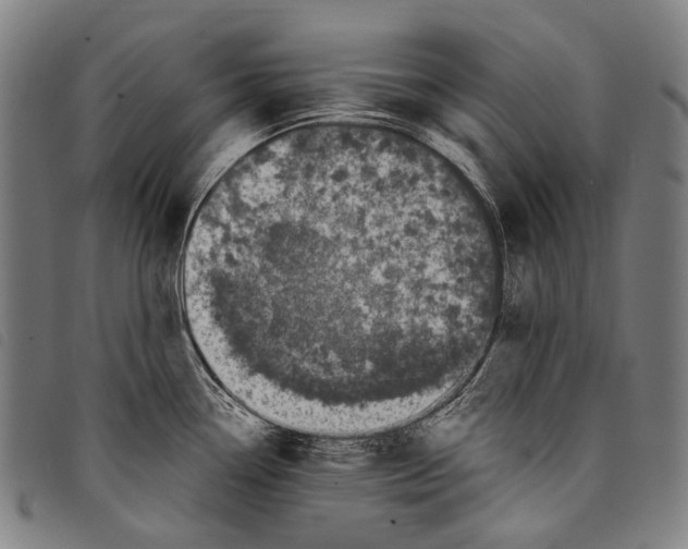 X0000097791338200804041227