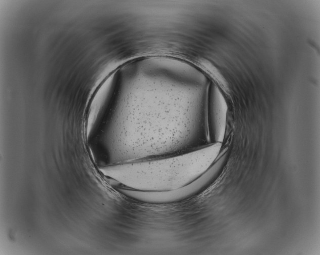 X0000097791340200804041227