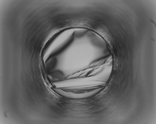 X0000097791342200804041227