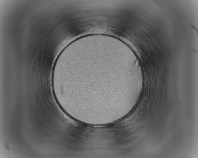 X0000097791343200804041227