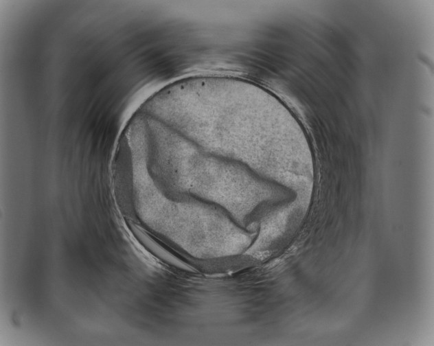 X0000097791344200804041227