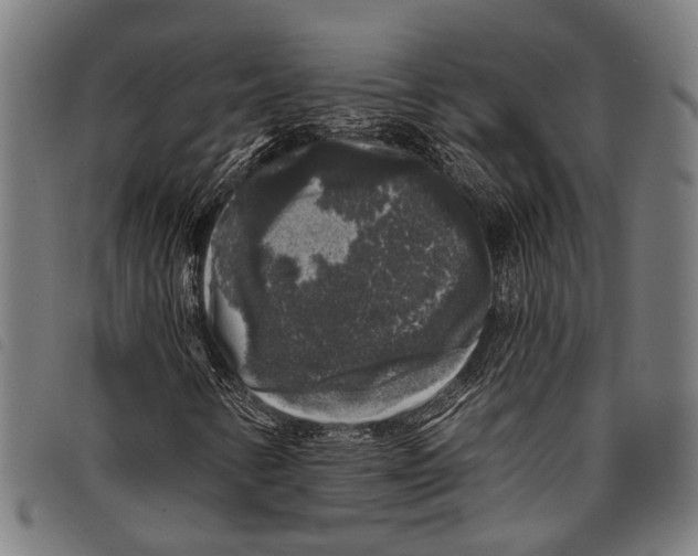 X0000097791346200804041227