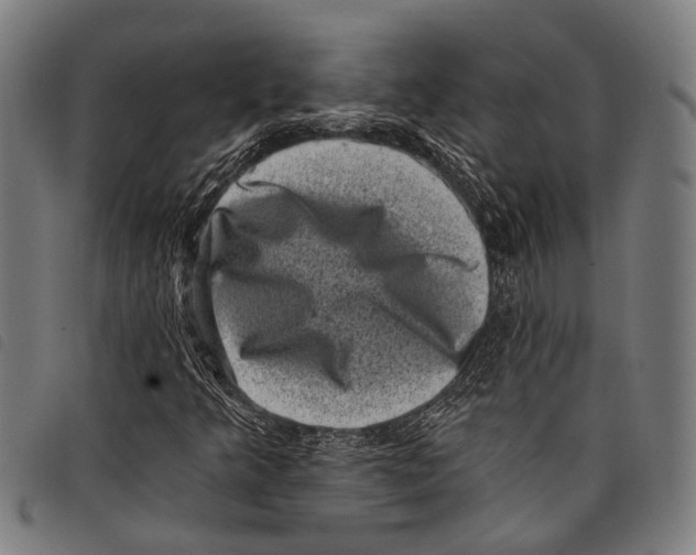 X0000097791349200804041226