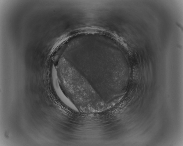X0000097791352200804041226
