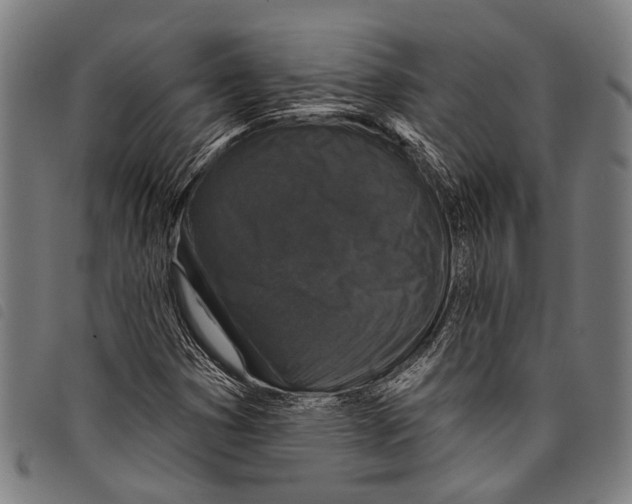 X0000097791353200804041226