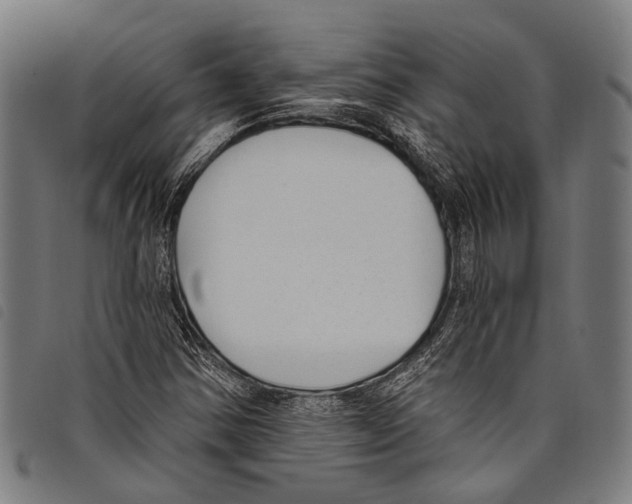 X0000097791354200804041226