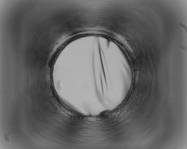 X0000097791360200804041226