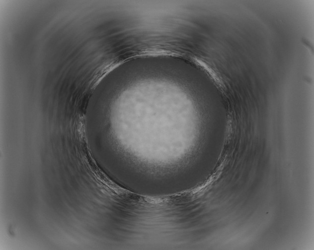 X0000097791361200804041226