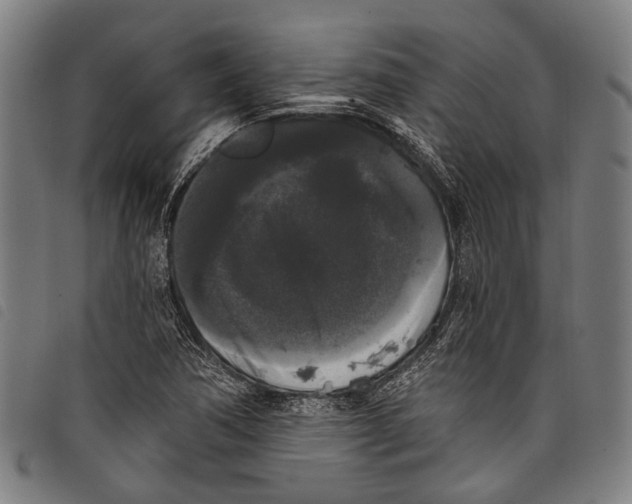 X0000097791362200804041226
