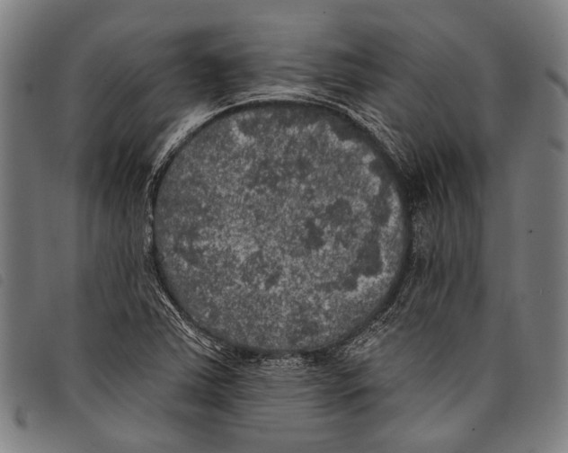 X0000097791363200804041226