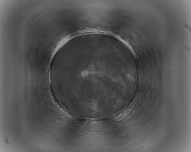 X0000097791365200804041226