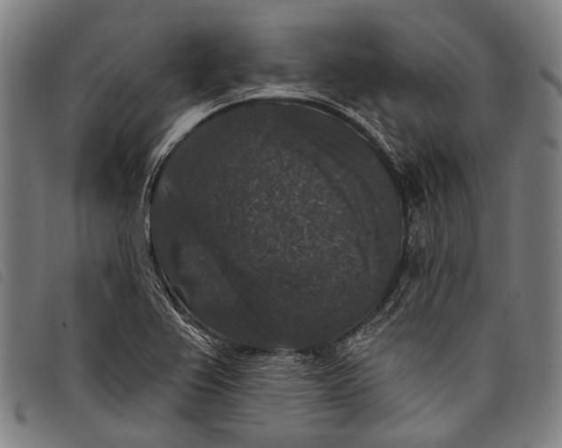 X0000097791367200804041226